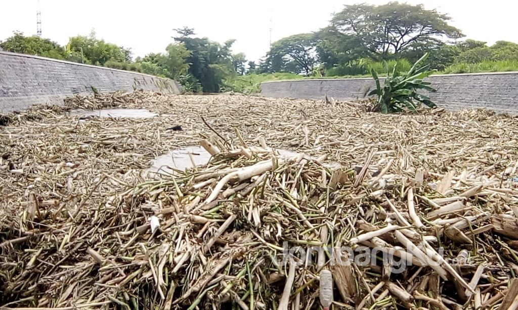 Sungai Konto Pucangsimo Jombang Disesaki Material Kayu