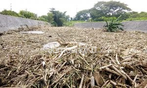 Sungai Konto Pucangsimo Jombang Disesaki Material Kayu