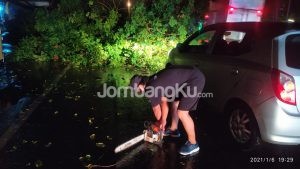 BREAKING NEWS : Pohon Tumbang di Depan Stasiun Jombang, Jalanan Jadi Macet