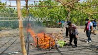 Puluhan Arena Sabung Ayam di Jombang Melenggang, Ini Langkah Kepolisian