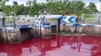 Air Sungai Di Kalibening Jombang Berubah Warna Merah Darah, Pertanda Apa?