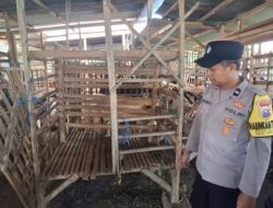 Pencurian Kambing di Sumoyono Cukir Terekam CCTV