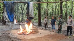 Komitmen Berantas Judi Sabung Ayam, TNI-Polri di Jombang Kolaborasi