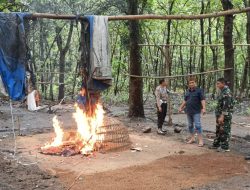 Komitmen Berantas Judi Sabung Ayam, TNI-Polri di Jombang Kolaborasi