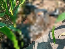 Mayat Mr X Gegerkan Warga Wonosalam Jombang, Ada Ponsel di Saku